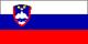 SL flag
