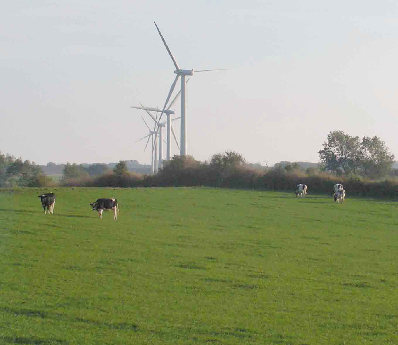landscape with windmills
