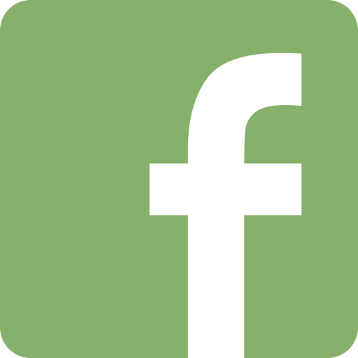 Facebook INFORSE