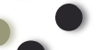 Database INFORSE  contacts members