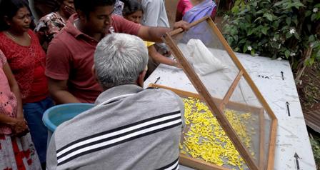 Vegetable drying in Sri Lanka June 2016