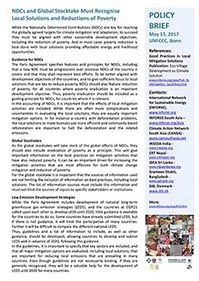 UNFCCC Policy Brief