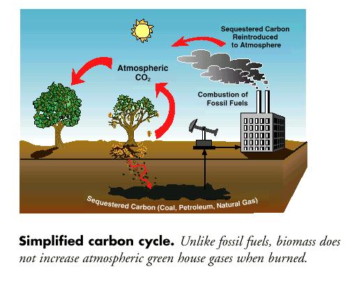 biomass energy plants (using thermal processes)