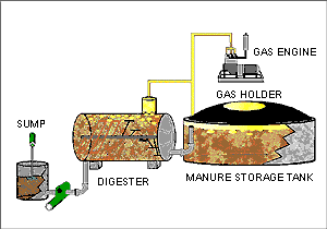 DIERET: Biomass