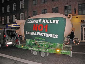 Climate killer No.1 Animal factories