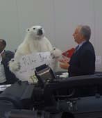 Polar bear at COP16