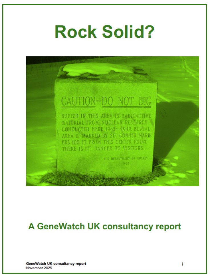 New Report on Nuclear Waste: Rock Solid ? 2.0