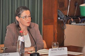 Anne Rialhe, Negawatt,